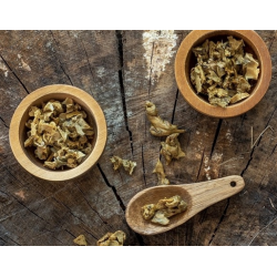 Propolis Verte Bio